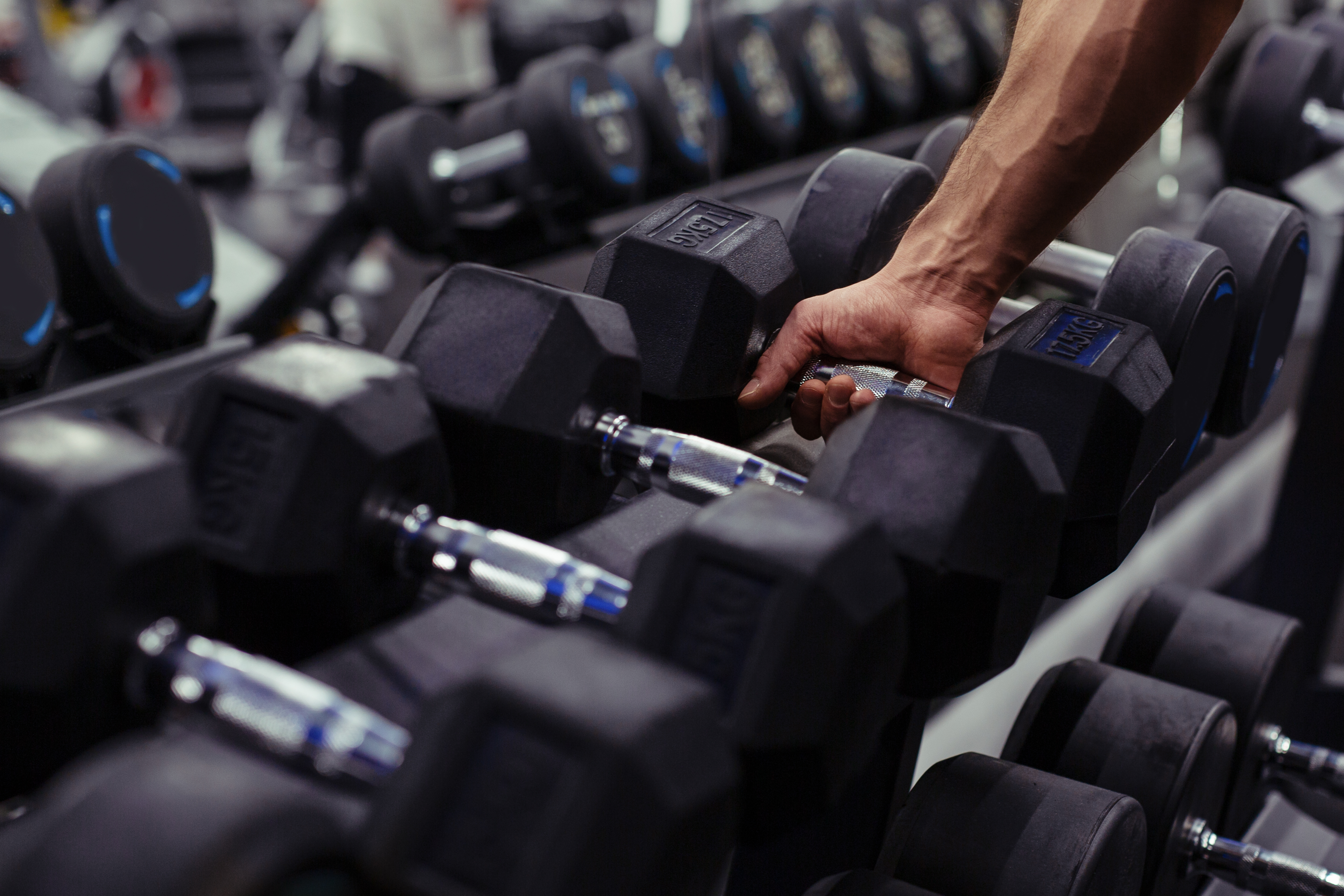 Gym Equipment